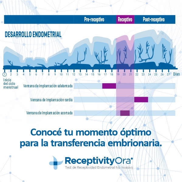 BANNER ORA 600 x 600 AGOSTO 2025